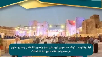 ترقبوا اليوم.. توافد جماهيري كبير على حفل ياسين التهامي وعمرو سليم في مهرجان القلعة مع أبرز اللقطات